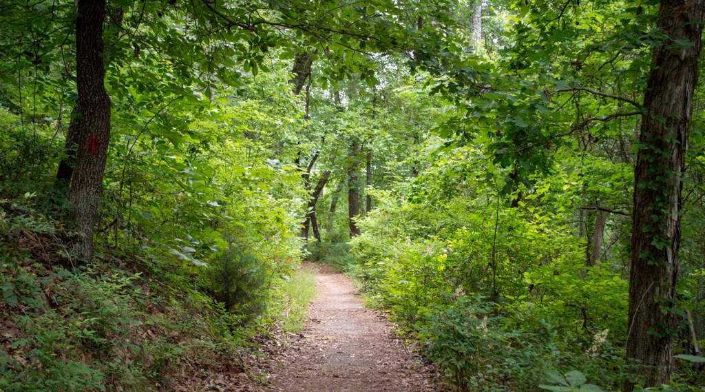 Visiting Mammoth Cave National Park