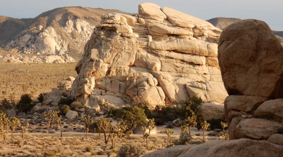 RV Adventures in Joshua Tree National Park