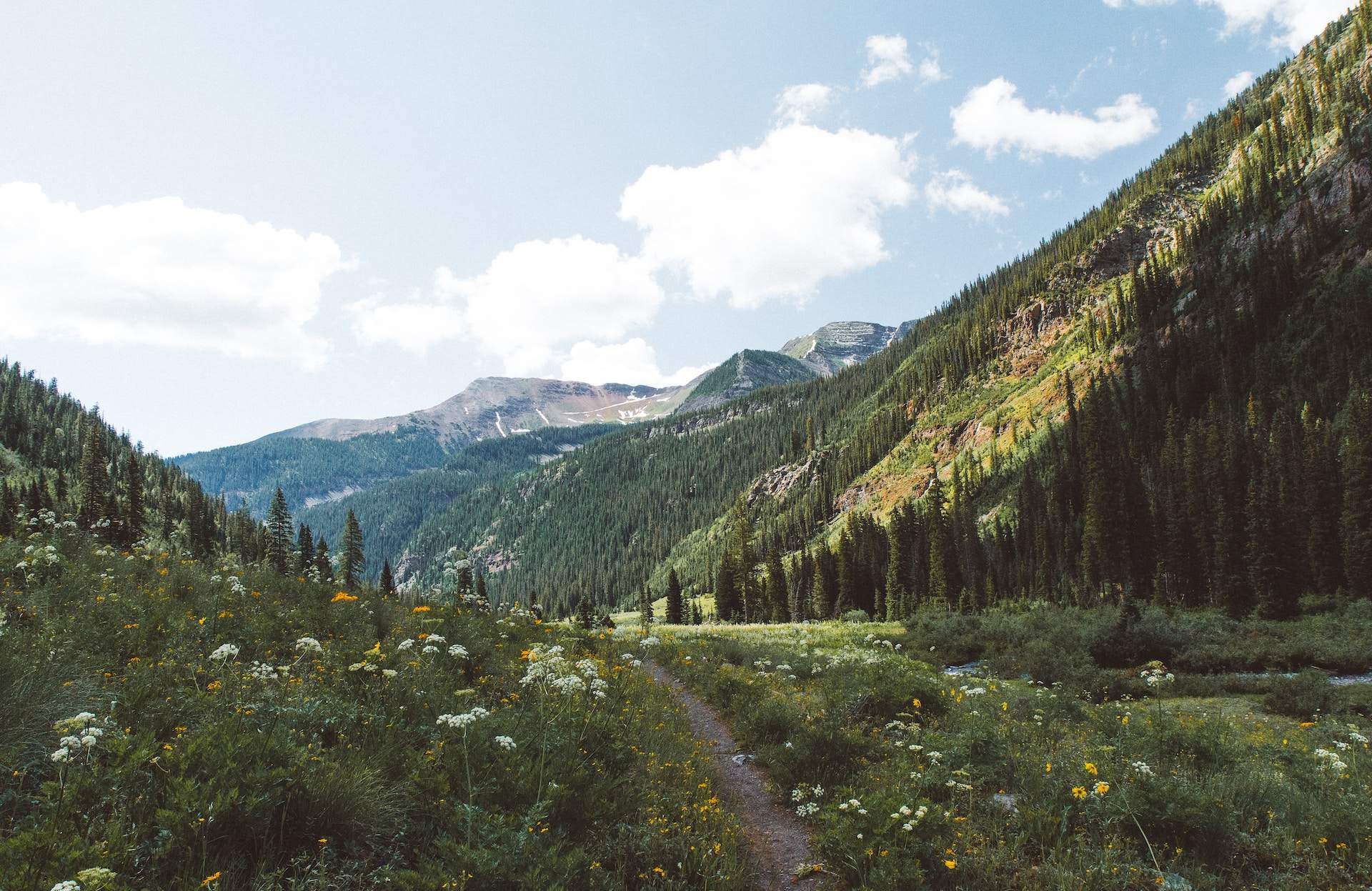 The Best Mountain Biking Trails Near Durango